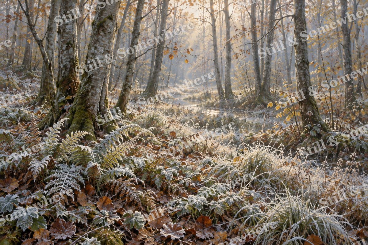 First Frost in the Alder Wood, original artwork preview