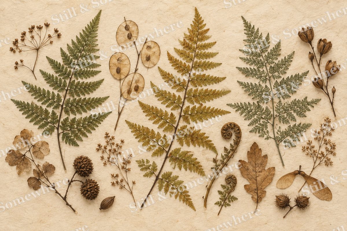 Pressed Ferns and Seed Pods, original artwork preview