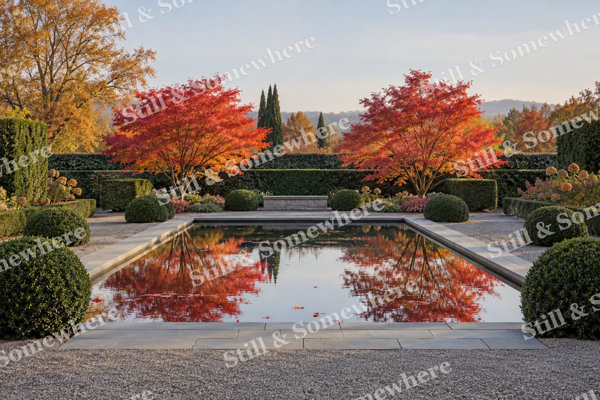 Maples around the Reflecting Basin, original artwork preview