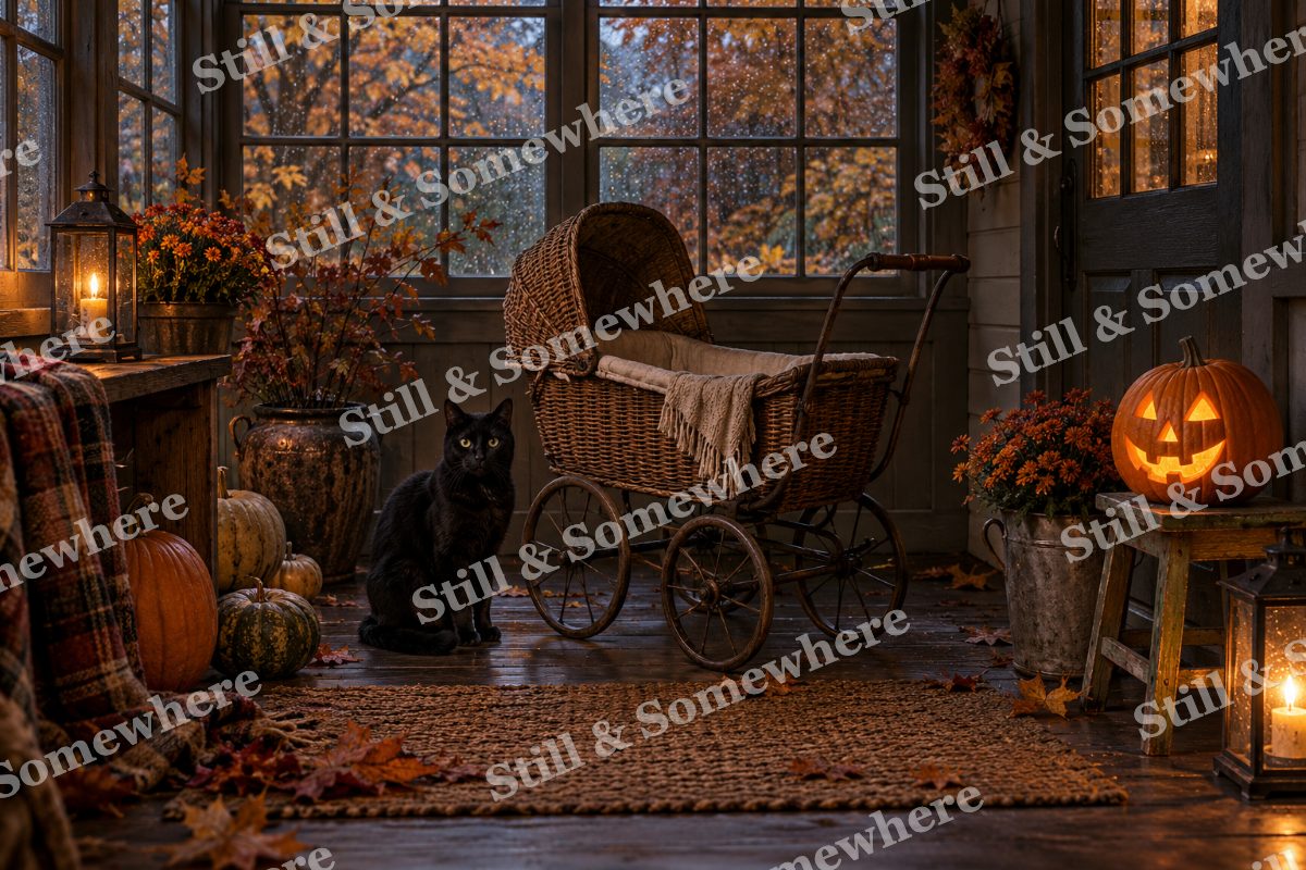 Black Cat and the Wicker Pram, original artwork preview