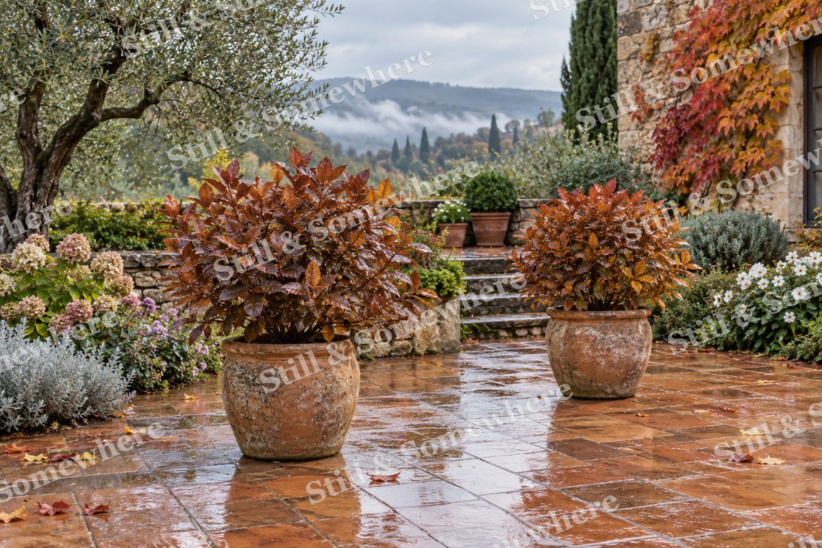Autumn Rain on the Courtyard Tiles, original artwork preview