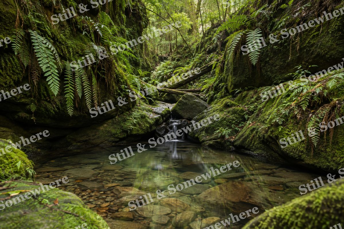 Landscapes Emerald Shade in a Quiet Ravine, original artwork preview