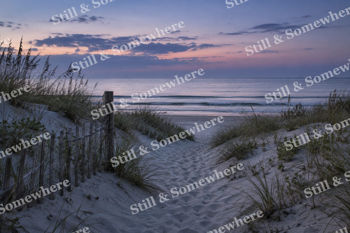 Landscapes Blue Hour Along a Quiet Beach Path, original artwork preview