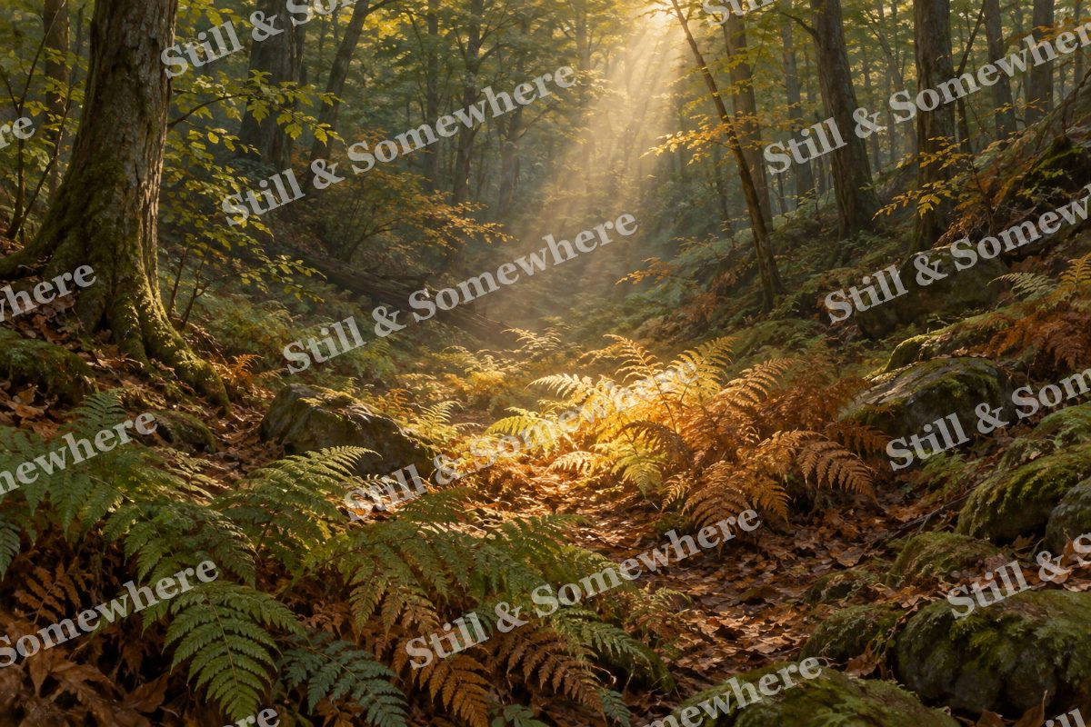 Sunlit Fern Hollow, original artwork preview