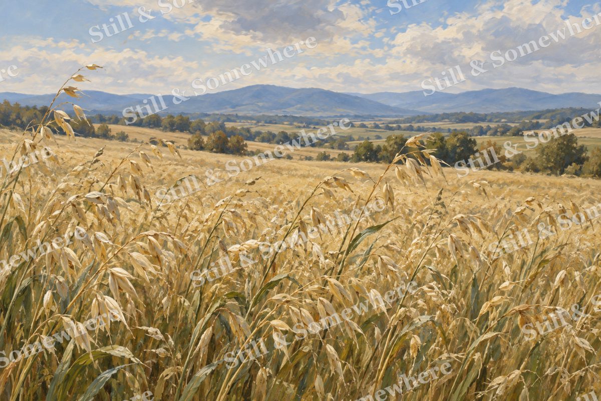 Oat Field in the September Wind, original artwork preview