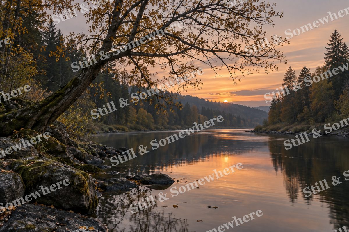 Landscapes Evening Stillness Beneath a Leaning Alder, original artwork preview