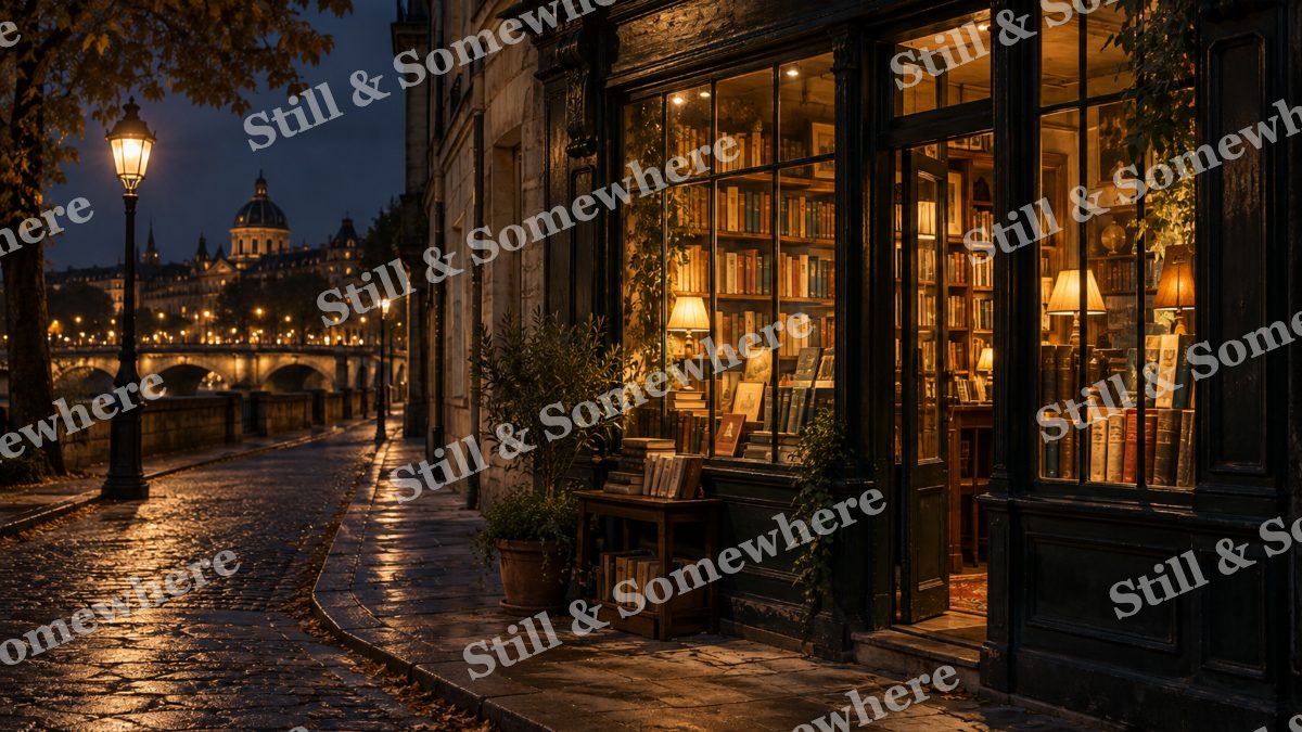 Lights Old Bookshop Window, city lights artwork preview