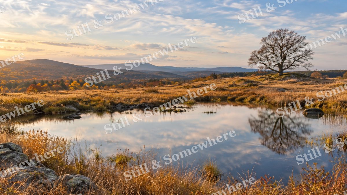 The Meadow Pool beneath Thin Clouds, peaceful landscapes artwork preview
