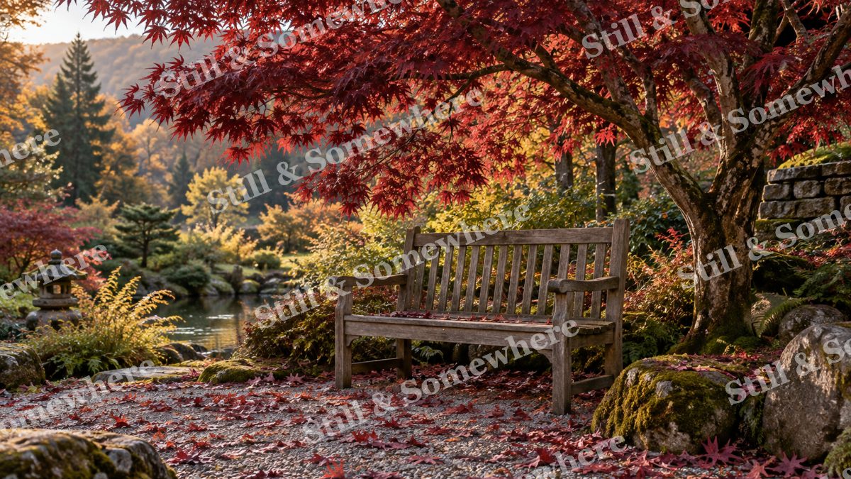 Autumn Garden Bench, fall artwork preview