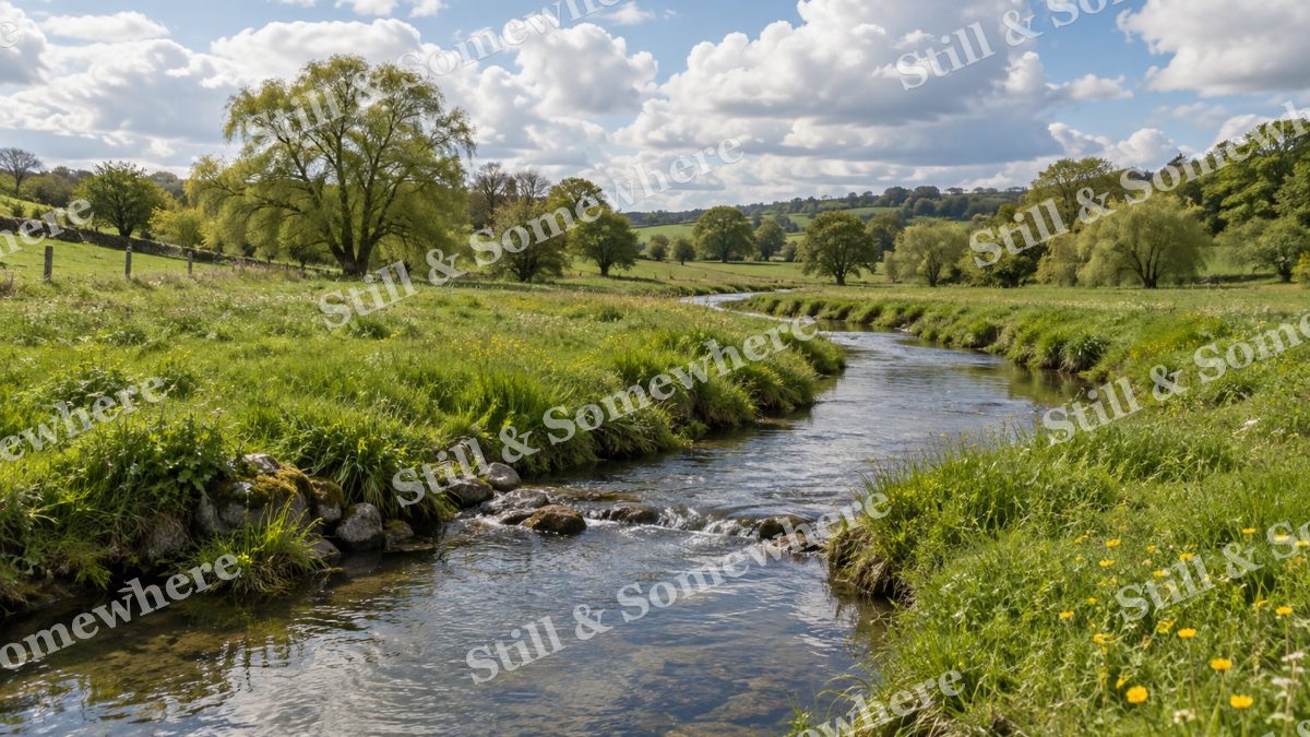 Meandering Spring Brook in Pasture, scenery artwork preview
