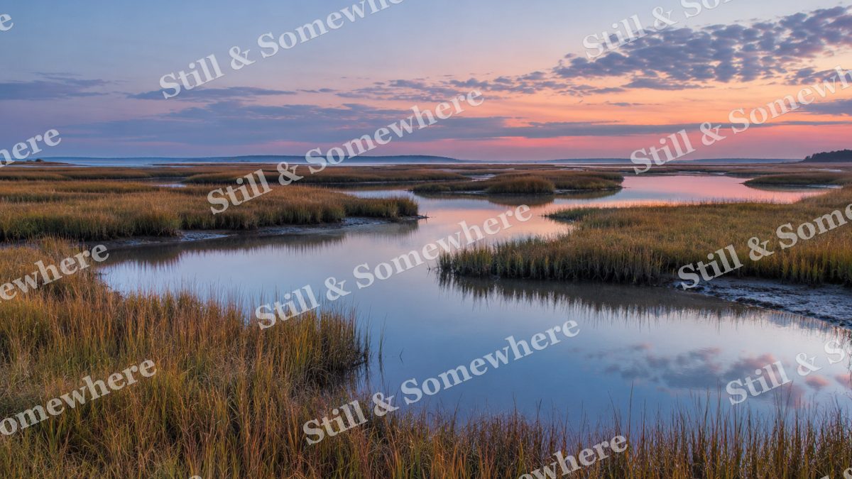 Blue Hour on the Salt Marsh, peaceful landscapes artwork preview