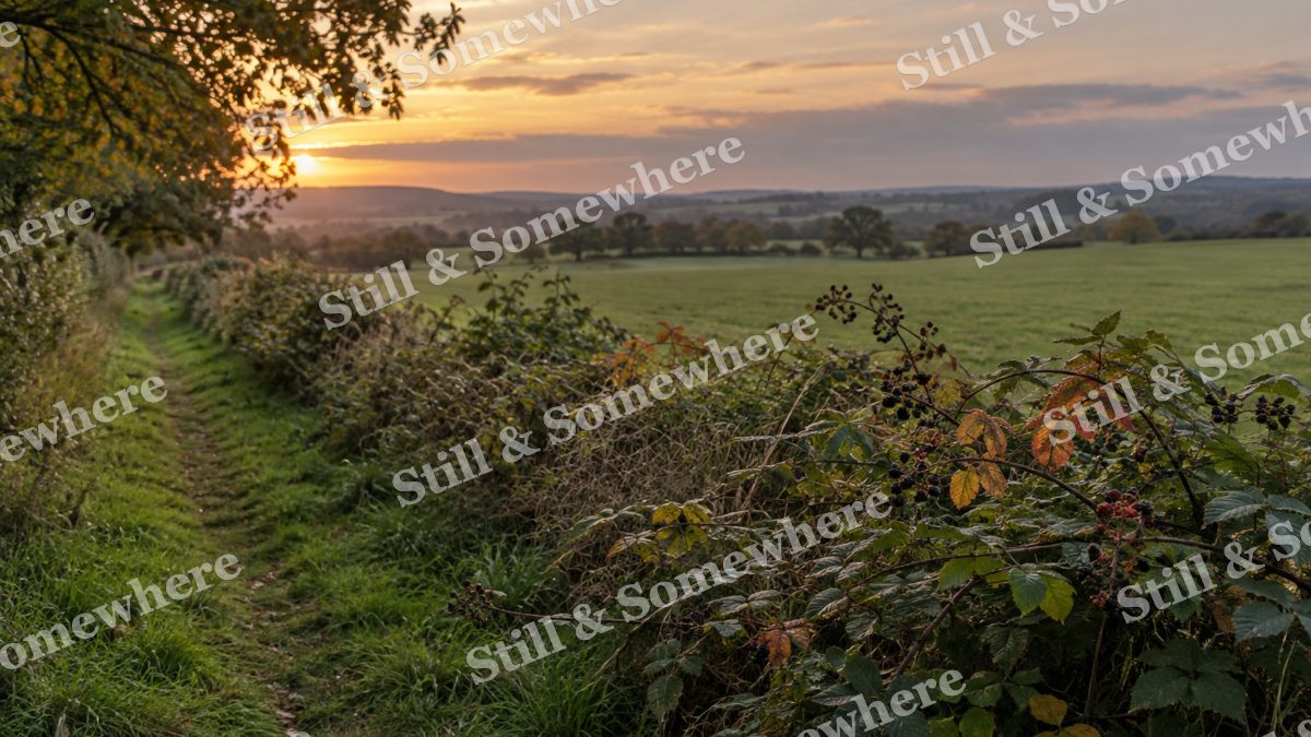 Landscapes Autumn Bramble Along a Quiet Field Path, peaceful landscapes artwork preview