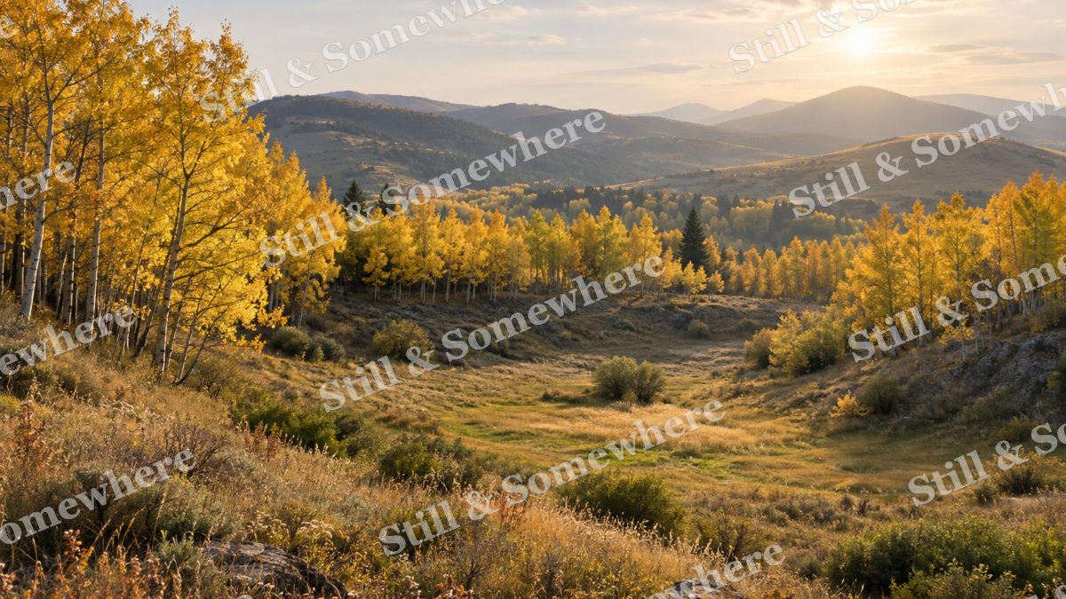 Landscapes Golden Aspens Above a Meadow Hollow, peaceful landscapes artwork preview