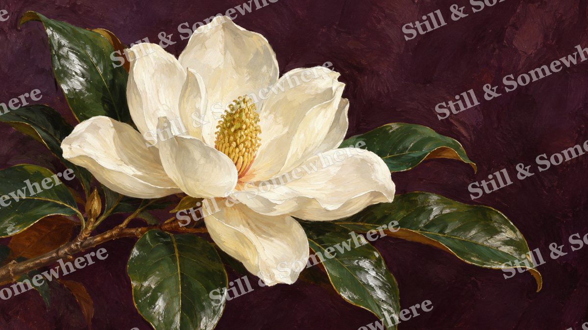 Magnolia on a Dark Ground, paintings artwork preview