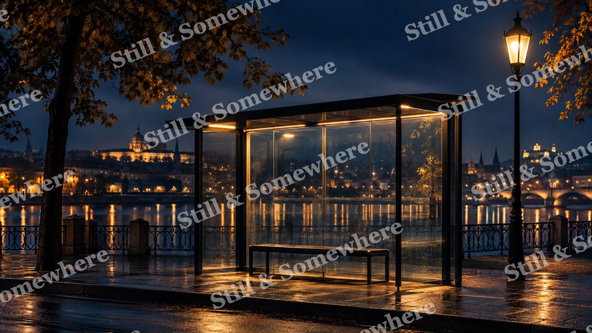 Lights Rainy Glass Bus Shelter, city lights artwork preview
