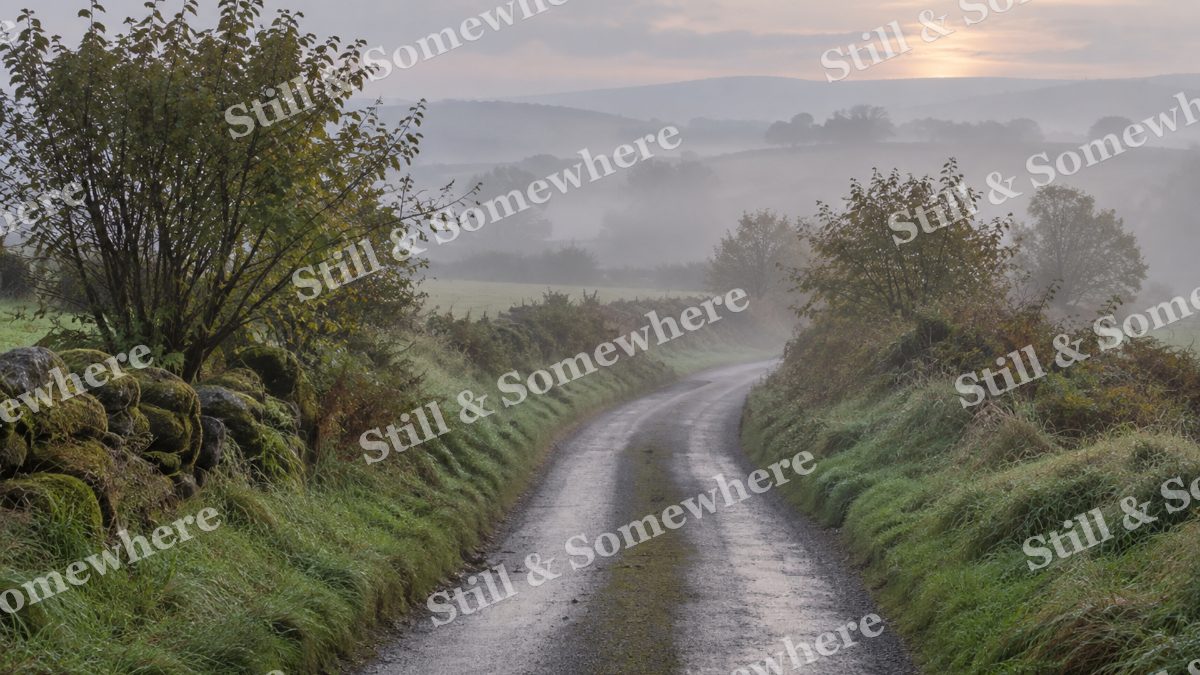 Landscapes Dawn Fog Over a Quiet Country Lane, peaceful landscapes artwork preview