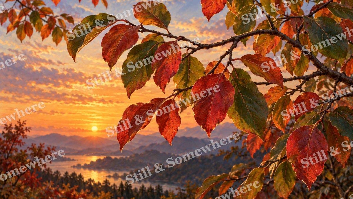 Persimmon Leaves Turning Scarlet, botanicals artwork preview