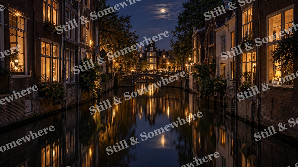 Lights Canal Windows at Midnight, city lights artwork preview