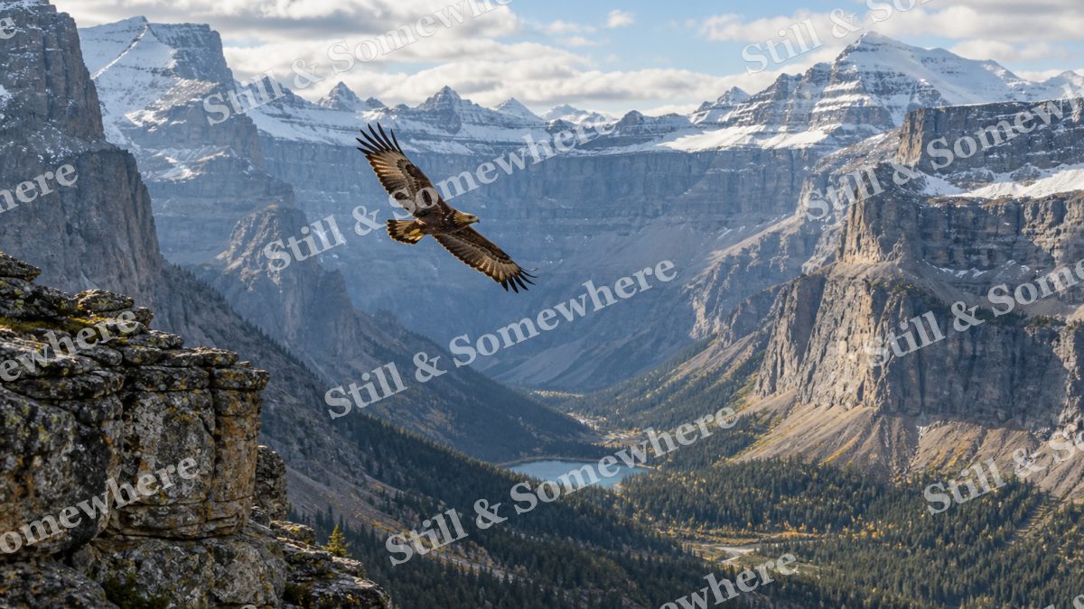 Golden Eagle Amphitheater, mountains artwork preview