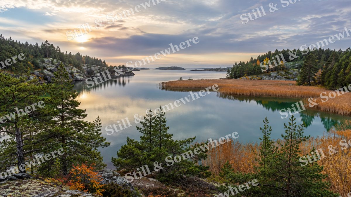 The Quiet Lagoon beyond the Pines, peaceful landscapes artwork preview