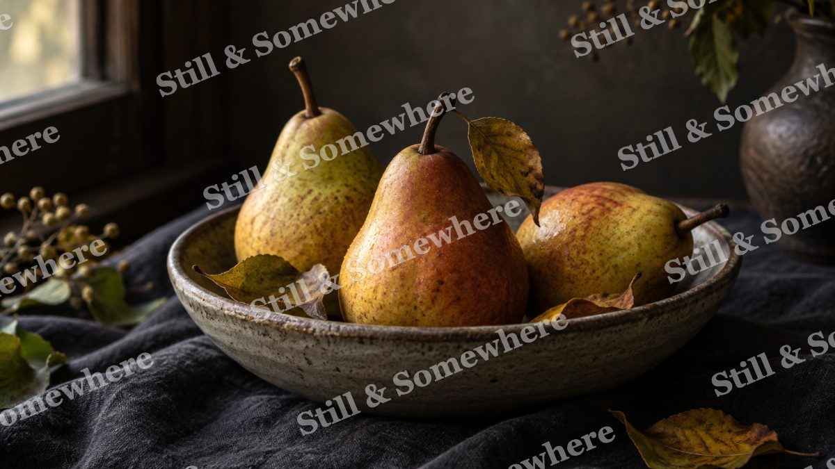 Pear Harvest Still Life, fall artwork preview