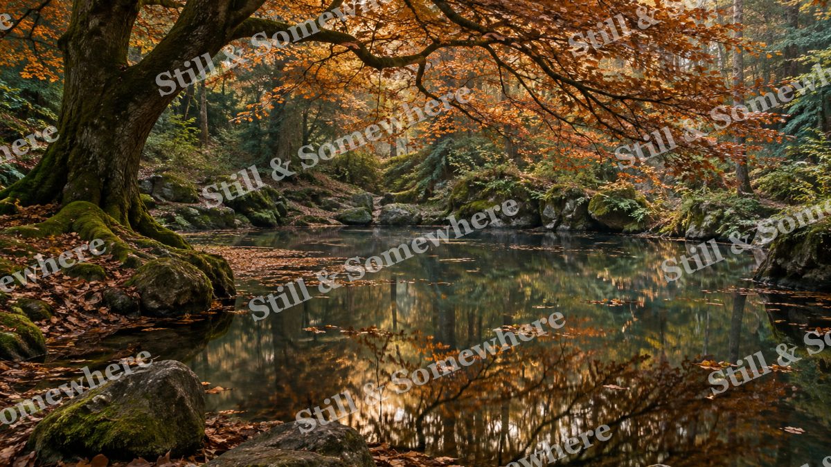 Landscapes Copper Beech Above a Secluded Pool, peaceful landscapes artwork preview