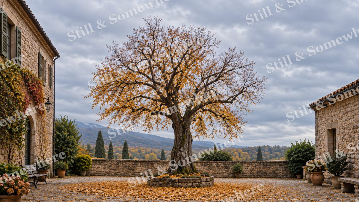 Last Leaves in the Courtyard, fall artwork preview