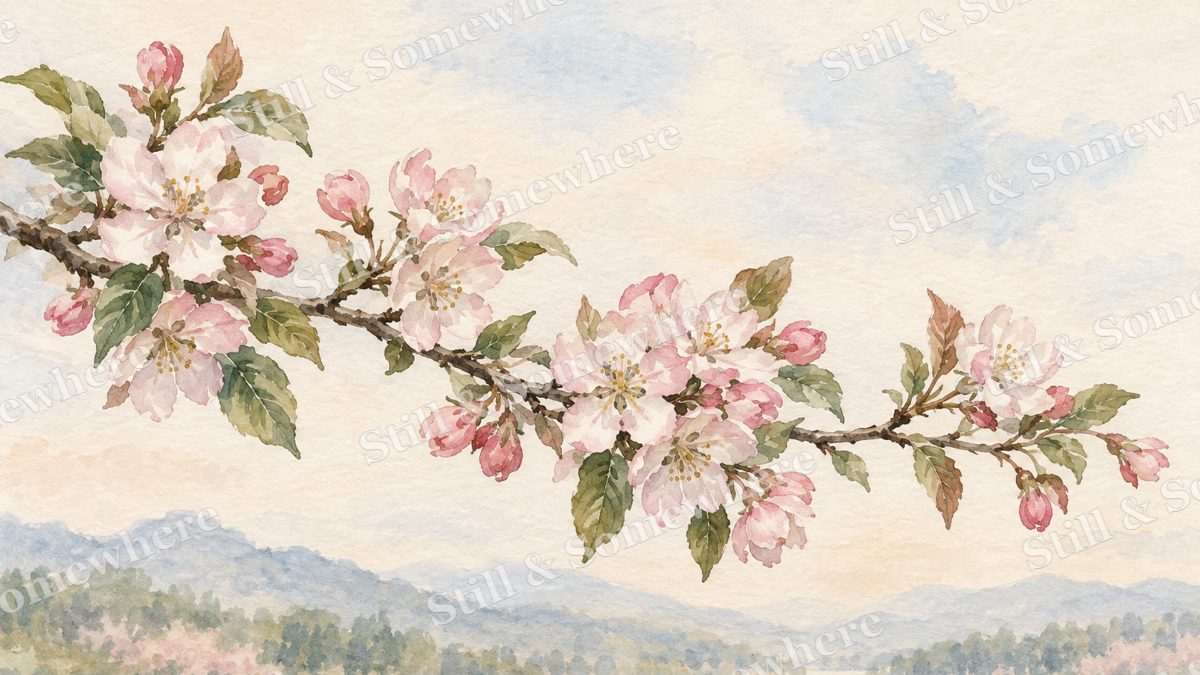 Crabapple Blossom Study, paintings artwork preview