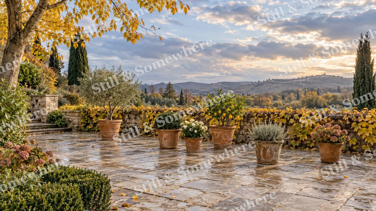 The Garden Terrace after the Shower, gardens artwork preview
