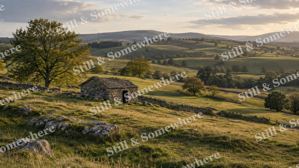Landscapes September Light on Rolling Pastures, peaceful landscapes artwork preview