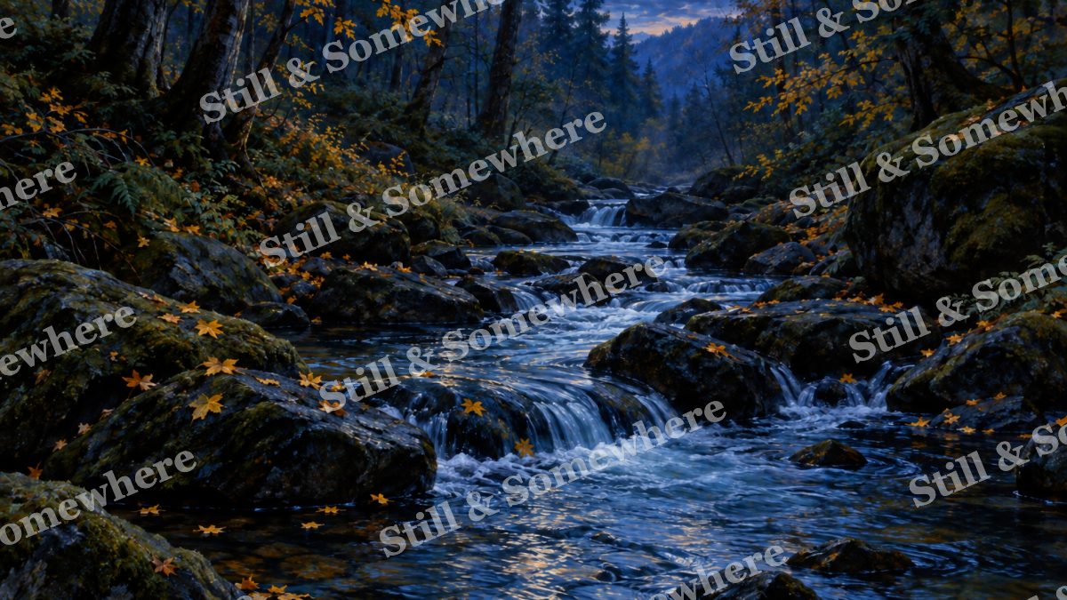 Woodland Brook at Blue Hour, forests artwork preview