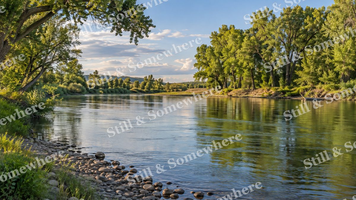 Still River and Cottonwood Grove, scenery artwork preview
