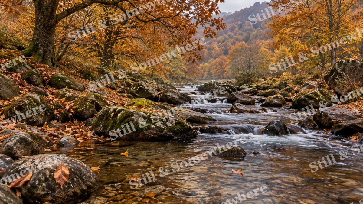 The Chestnut Stream after Rain, peaceful landscapes artwork preview