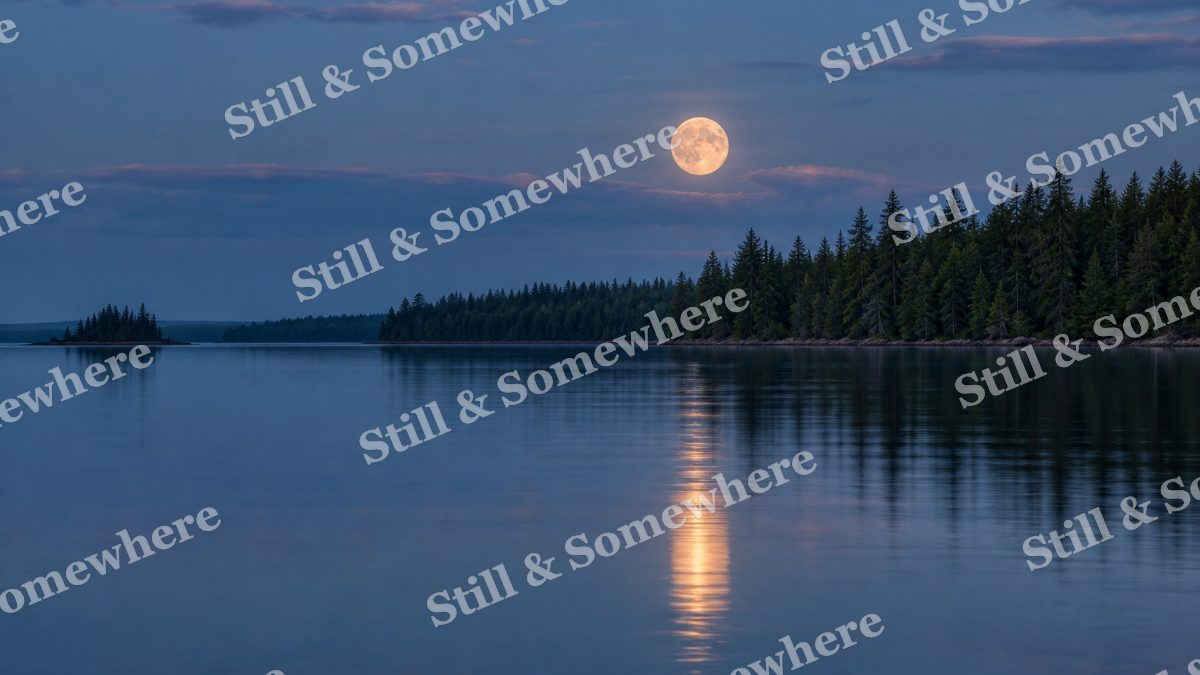 Landscapes Moonrise Over a Still Cedar Lake, peaceful landscapes artwork preview