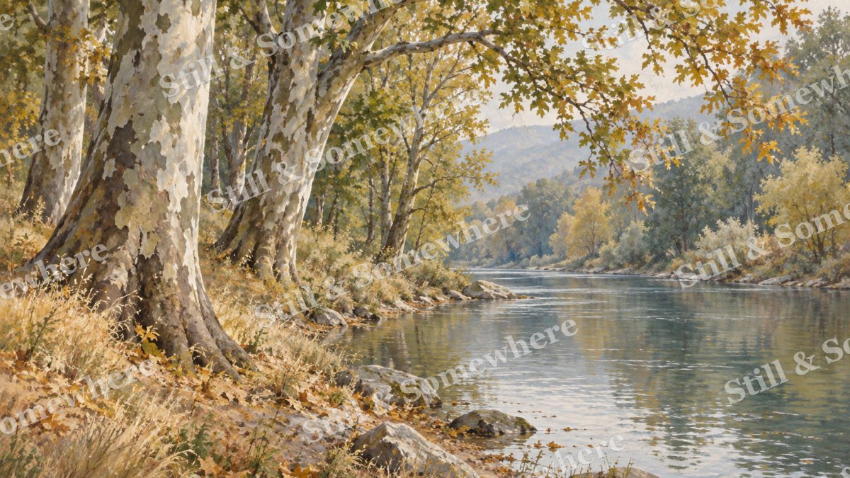 Sycamores along the Riverbank, forests artwork preview