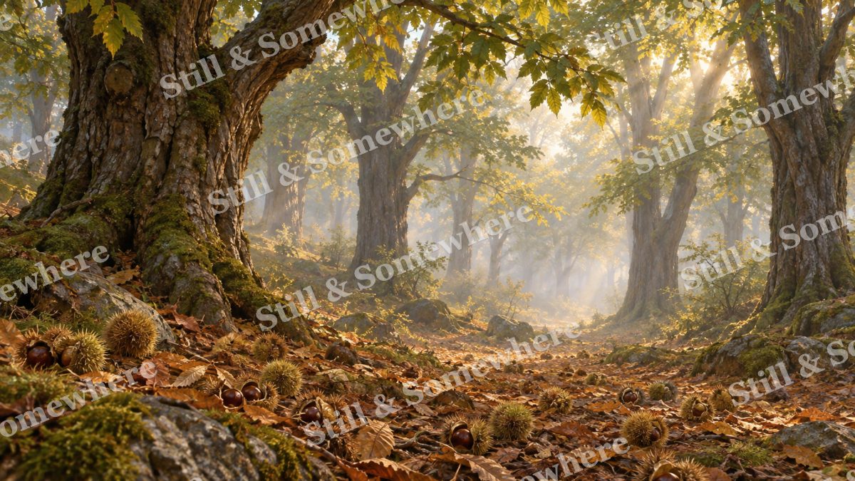 Chestnut Grove in Morning Haze, forests artwork preview