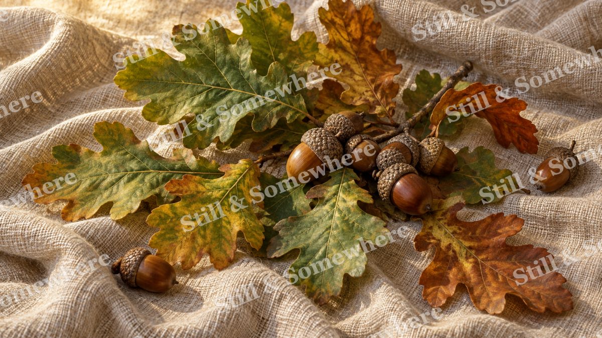 Oak Leaves and Acorns on Linen, botanicals artwork preview