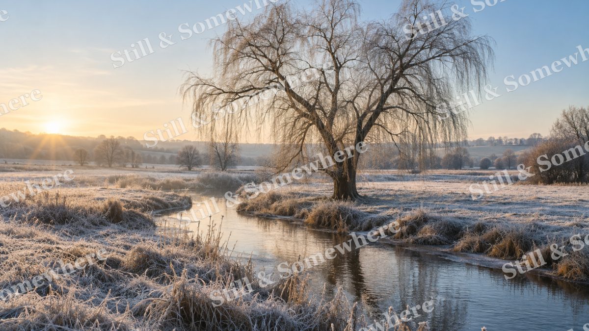Meadow Frost Beneath Leafless Willow, scenery artwork preview