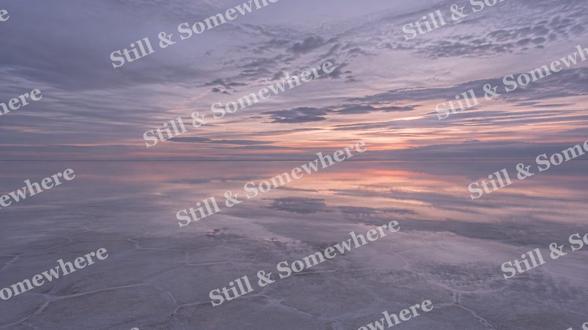 Desert Salt Flat After Rain, scenery artwork preview
