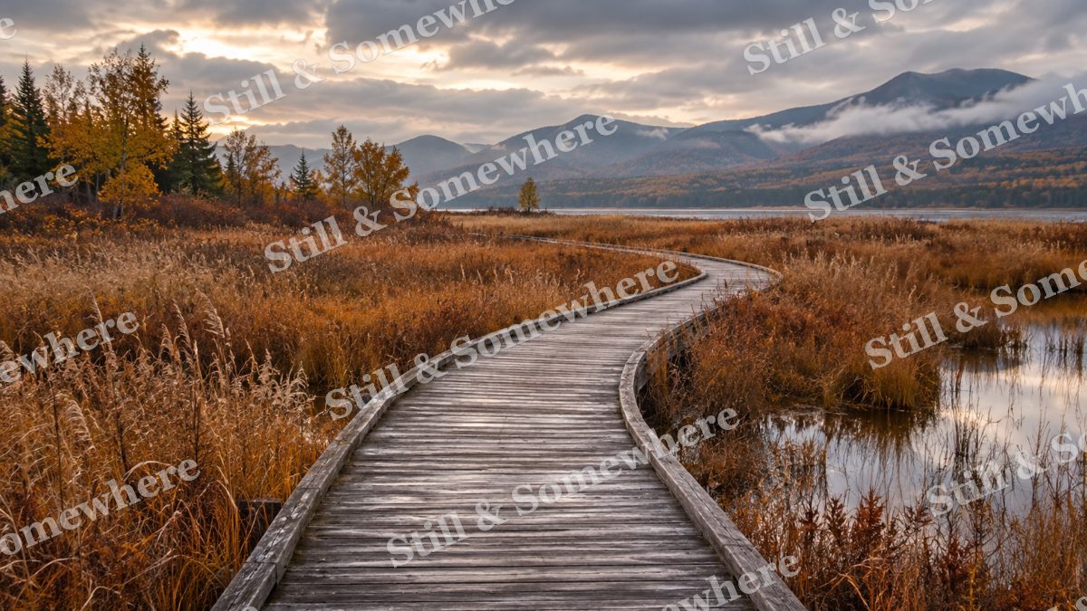 Autumn Marsh Boardwalk, fall artwork preview