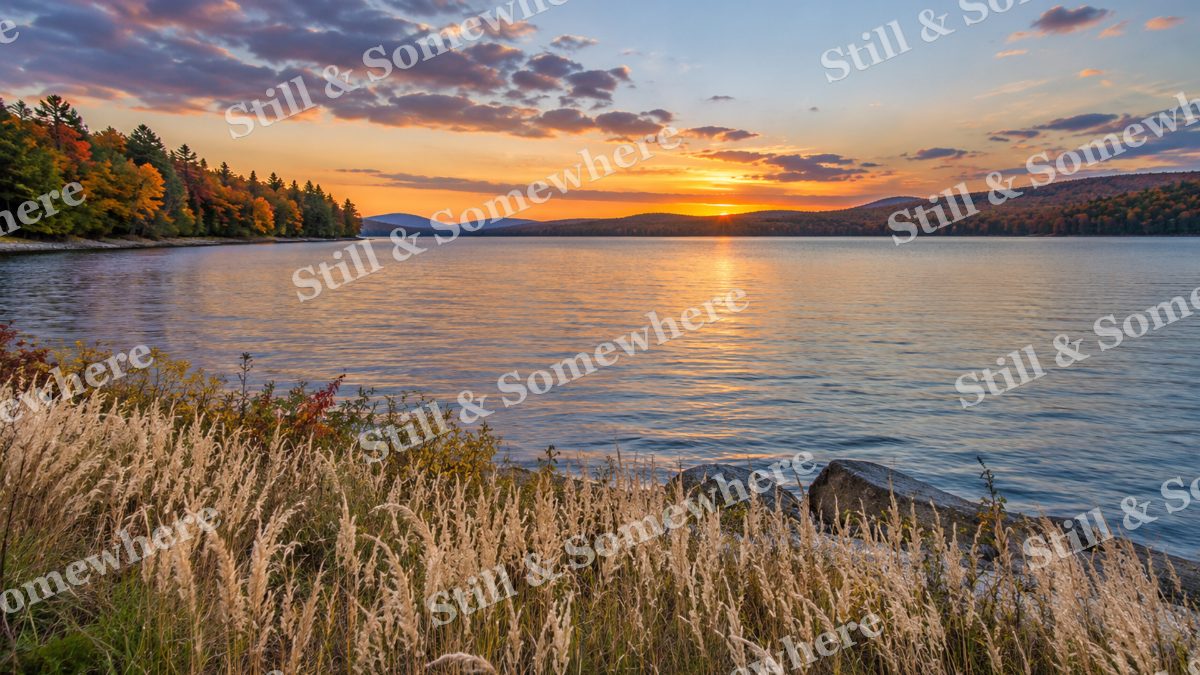 Whispering Grass on the Lakeshore, peaceful landscapes artwork preview