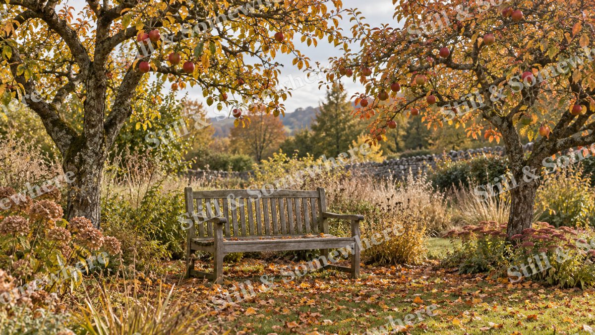 The Orchard Garden Bench, gardens artwork preview