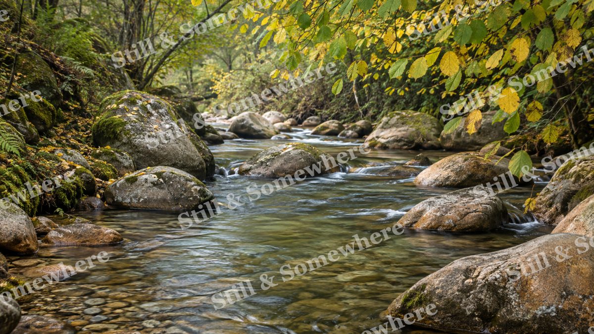Landscapes Pebble Stream Beneath Autumn Hazel, peaceful landscapes artwork preview