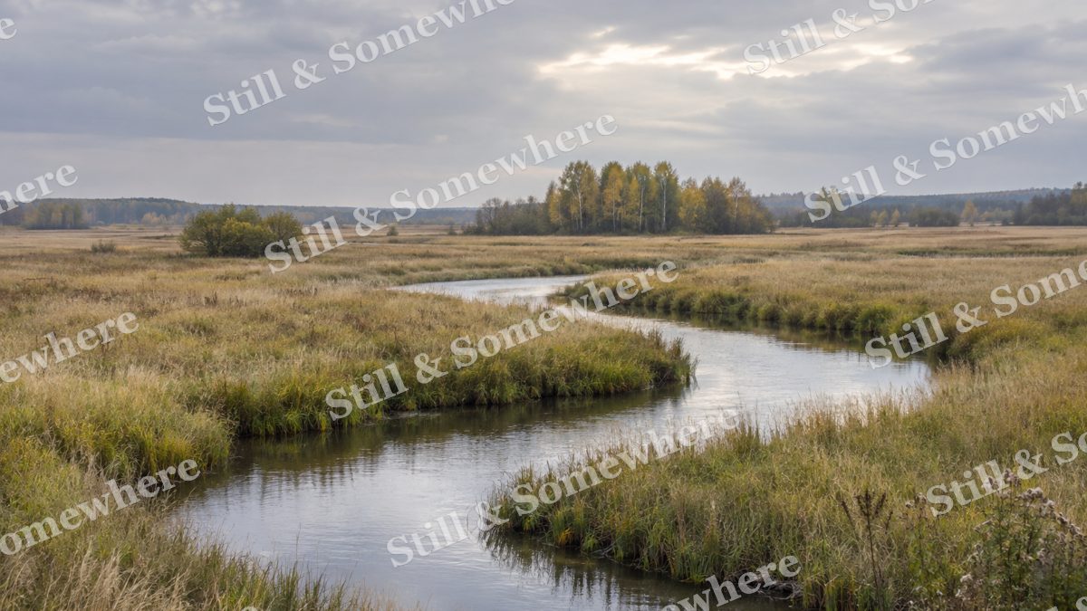 Landscapes Silver Stream Through a Quiet Sedge Meadow, peaceful landscapes artwork preview