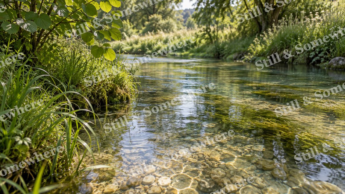 Landscapes Dappled Shade Beside a Chalk Stream, peaceful landscapes artwork preview