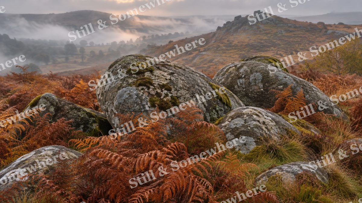 Autumn Bracken and Granite, fall artwork preview