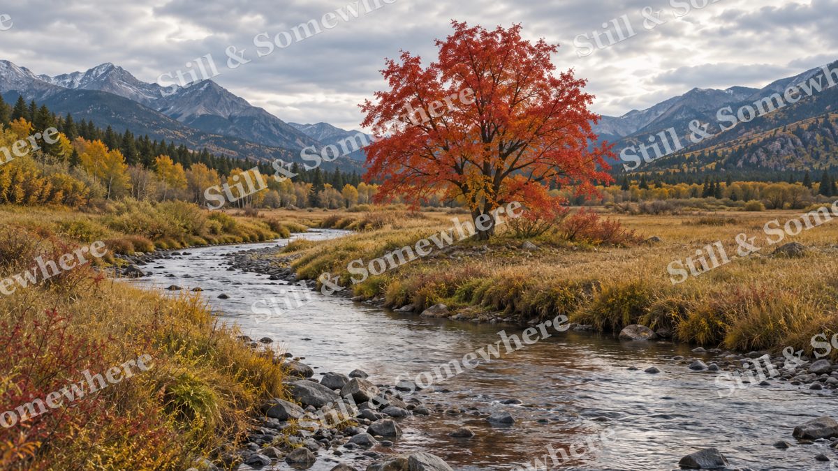 The Silver Creek Bend, peaceful landscapes artwork preview