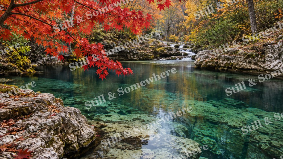 Scarlet Leaves above the Emerald Spring, peaceful landscapes artwork preview