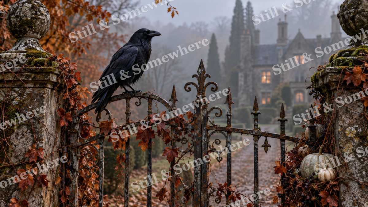 04 Raven Over The Garden Gate, halloween artwork preview