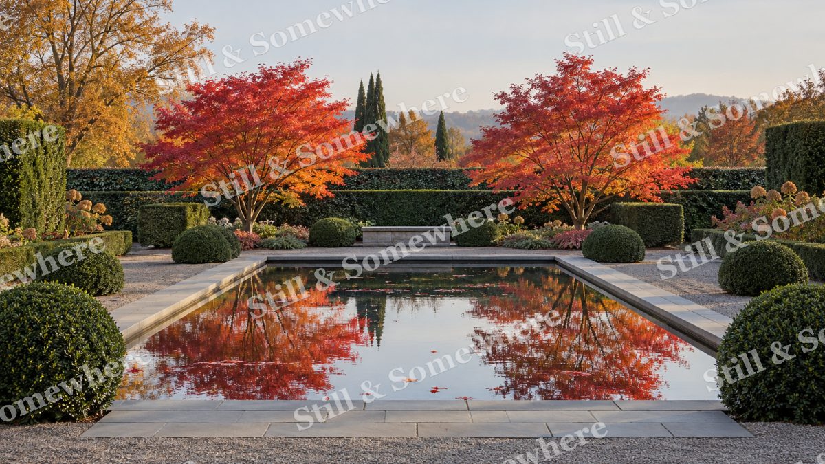 Maples around the Reflecting Basin, gardens artwork preview